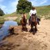 Ellen Lawler - Facebook
