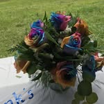 Ellen Lawrence - @lawrence.ellen54 - Instagram