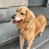 Ellen Leahy - @ellenleahy0 - TikTok