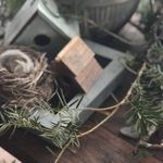 Ellen Leahy Nature Journal - @ellenleahynature - Instagram