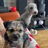 Ellie Leighton - @ellie_leighton - TikTok