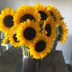 Mary Ellen Lengel - Facebook