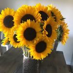 Mary Ellen Lengel - @melly.149 - Instagram