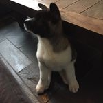 Ellen v. Lent - @ellenv.lent - Instagram