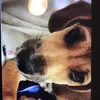 Eliza Lentz - @ellentzlentz - TikTok