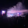 Ellenlindblom - @ellenlindblom5 - TikTok