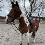 Ellen - @ellenlindgren.14 - Instagram