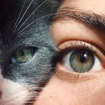 Ellen Lindgren - @ellenclindgren - Instagram