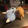 Ellie Lindow - @ellie.lindow - TikTok