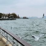 Yulin Zeng - @ellen_lin_go - Instagram