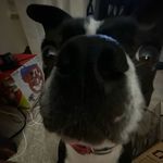 Ellen Lippert - @ellenlippert3 - Instagram