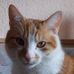 Ellen Litz - Facebook