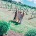 Ellen Litzenberger - Facebook