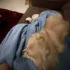 L - @ellenlitz - TikTok