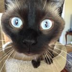 Ellen Campion Lockamy - @ellenlockamy - Instagram