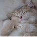 Ellen Lock - Facebook