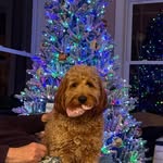 Ellen Lockwood Harrigan - @lockwoodboatworks - Instagram