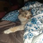 Ellen Logan - Facebook