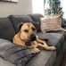 Ellen Long - Facebook