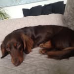 Elle Lovely Girl - @ellenlooren - Instagram