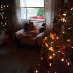 Ellenora Looney - @ellenoralooney - Instagram