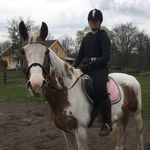 Ellen Lord ”Gott o blandat ” - @lordizen9432 - Instagram