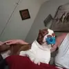Ellen Lowery - @ellen.lowery1 - TikTok