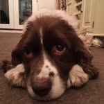 Ellen Lowry - @mrsellenlowry - Instagram