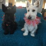 Ellen L Maher - @ellenlmaher - Instagram