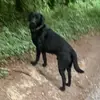 Ellen Maher - @ellenmaher234 - TikTok