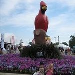 Ellen Rohr Maher - @ellenrohrmaher - Instagram