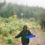 Ellen Mahon O'Neill - @mahono - Instagram