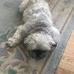 Ellen Malloy - Facebook