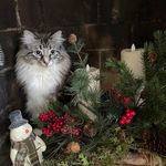 Mary Ellen Hohlfeld Malloy - @memalloy1 - Instagram