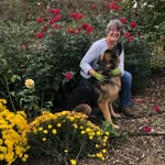Ellen Mast - @the_quilting_gardener - Instagram