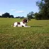 Ellen Matthews - @ellenmatthews4 - TikTok