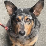 Mary Ellen Matthews - @maryellenmatthewsnyc - Instagram