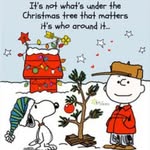 Christmas In 23 Days 🎄🎅🏼❄️⛄️ - @ellen_mccabe11 - Instagram
