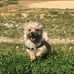 Ellen McCall - Facebook