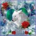 Ellen McCarty - Facebook