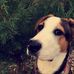 Ellen McCarty - Facebook