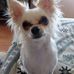 Ellen Mcdonnell - Facebook