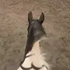 Ellen - @ellen_mcevoy22 - TikTok