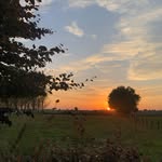 Ellen McEvoy10 - @ellen_mcevoy10 - Instagram