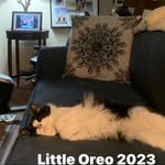 Ellen McLain - @ellenmclain2689 - Instagram