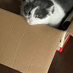 Ellen McLain - @ellen.mclain.1 - Instagram
