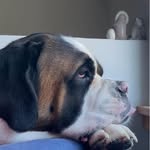 Ellen McLain - @ellen0031 - Instagram