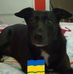Ellen Mclean - Facebook