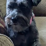 Ellen McLean Bochetto - @ellenmcleanbochetto - Instagram