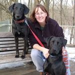 Ellen McLean Haas - @haas8734 - Instagram